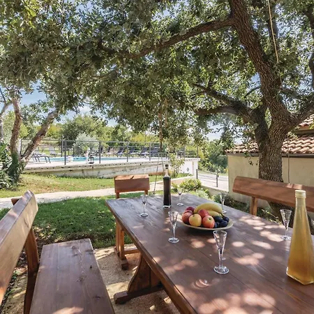 Apartment 1 Bedroom Pet Friendly In