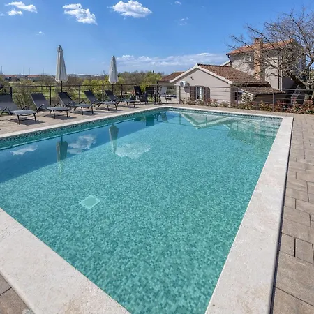 1 Bedroom Pet Friendly In Apartment
