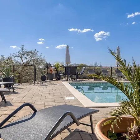 1 Bedroom Pet Friendly In Apartment